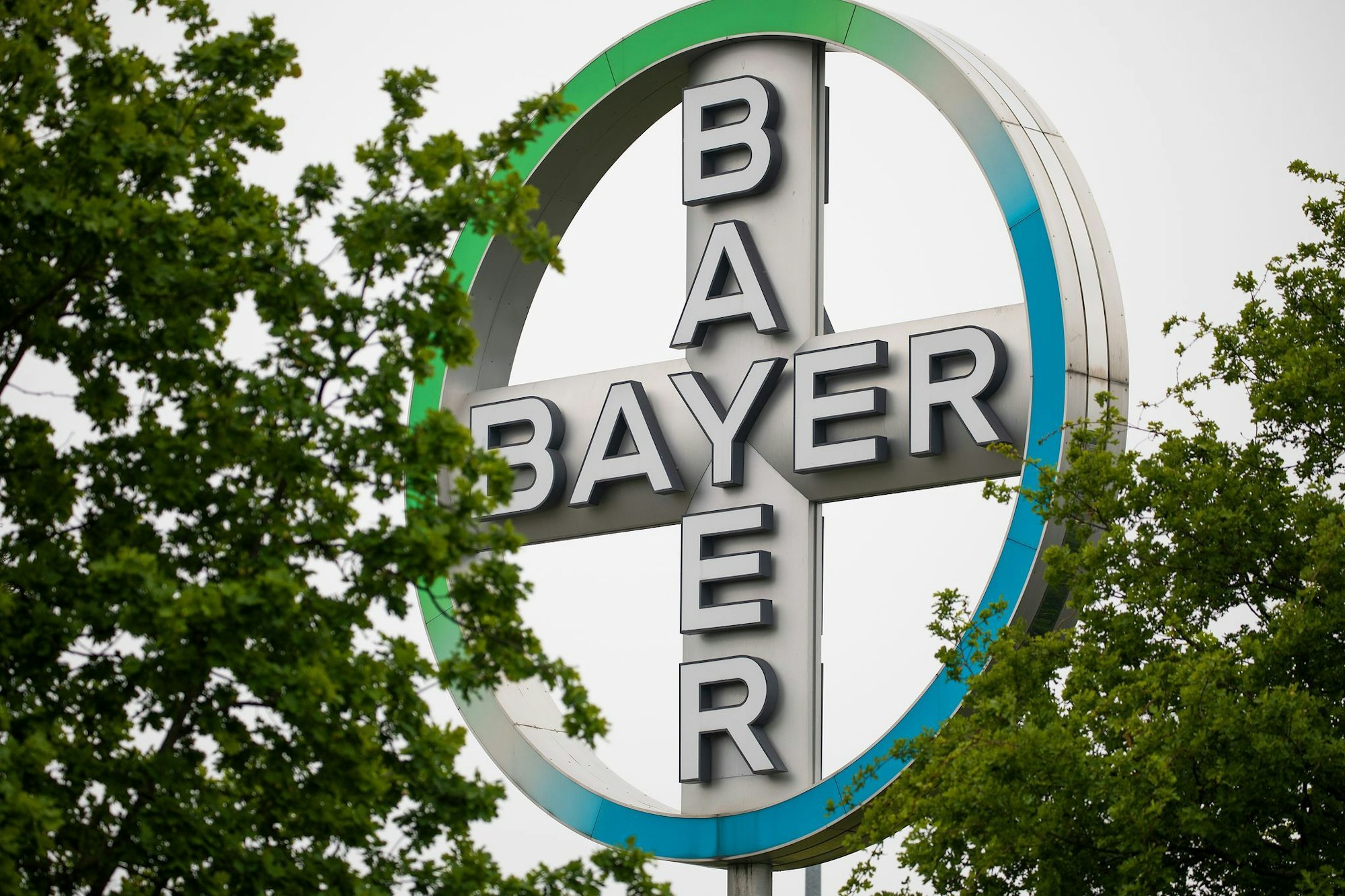 Bayer steckt in einer schwierigen Phase - auch wegen milliardenschwerer Rechtsrisiken aus dem Glyphosat-Geschäft in den USA. (Archivbild)