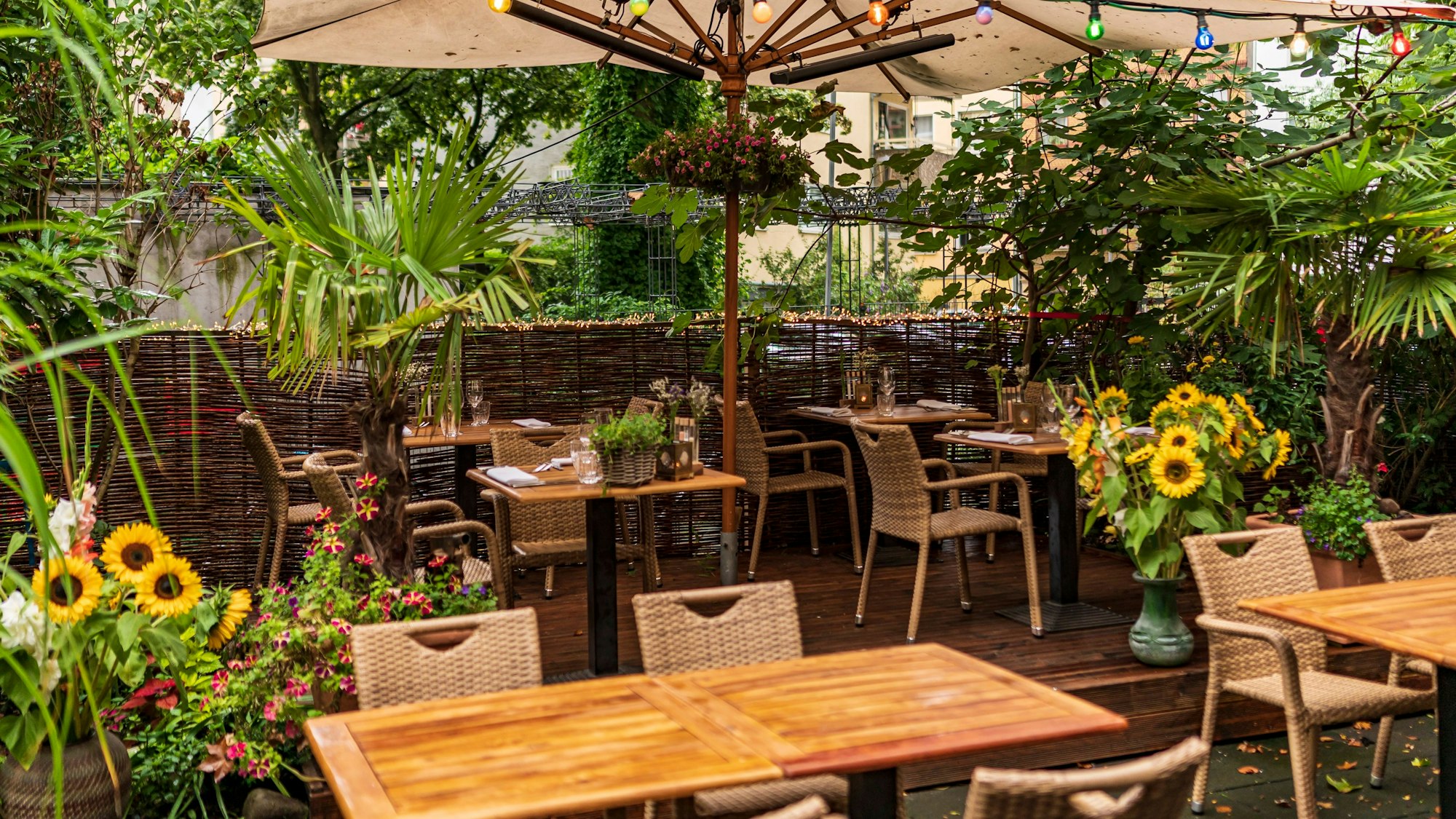 18.08.2021, Köln:
Lauschige Plätze in Köln. Hier: Maison Blue in der Kölner Südstadt.