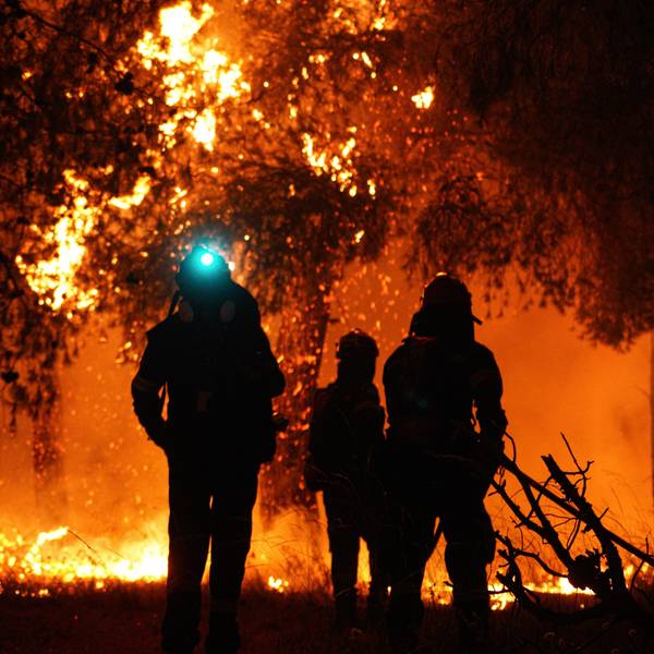 Feuerwehrleute löschen die Flammen während eines Waldbrandes in Griechenland.