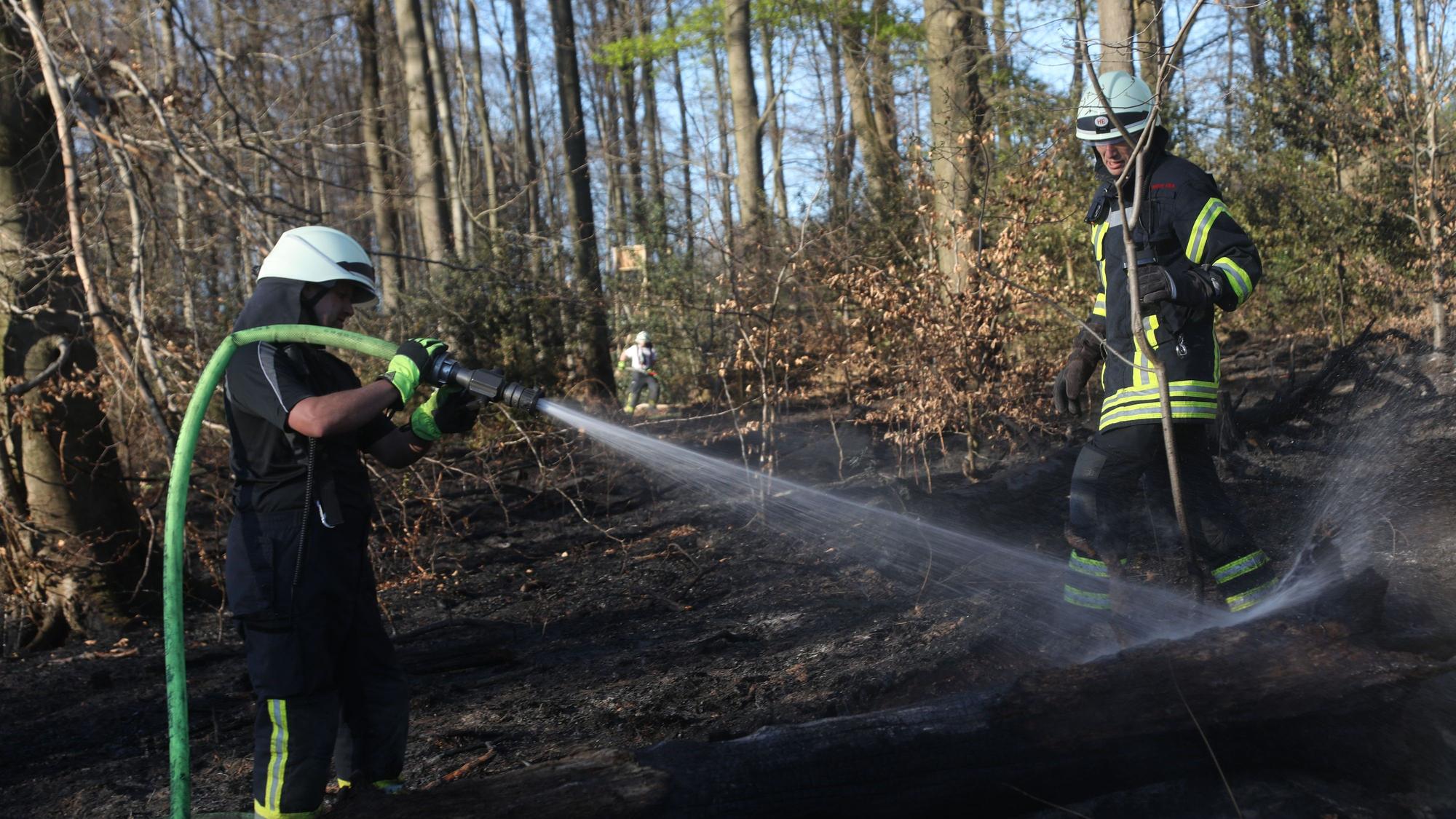 Im April ist ein Feuer im Königsforst ausgebrochen. Rund 2000 Quadratmeter waren betroffen.
