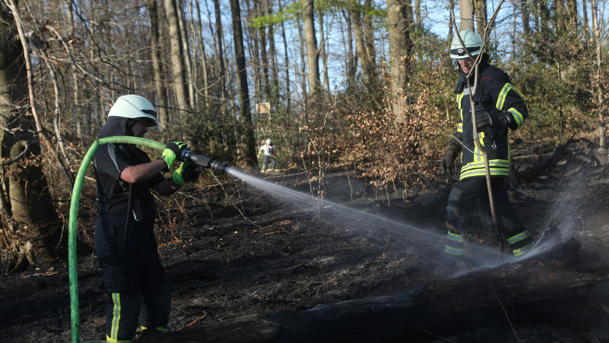 Im April ist ein Feuer im Königsforst ausgebrochen. Rund 2000 Quadratmeter waren betroffen.