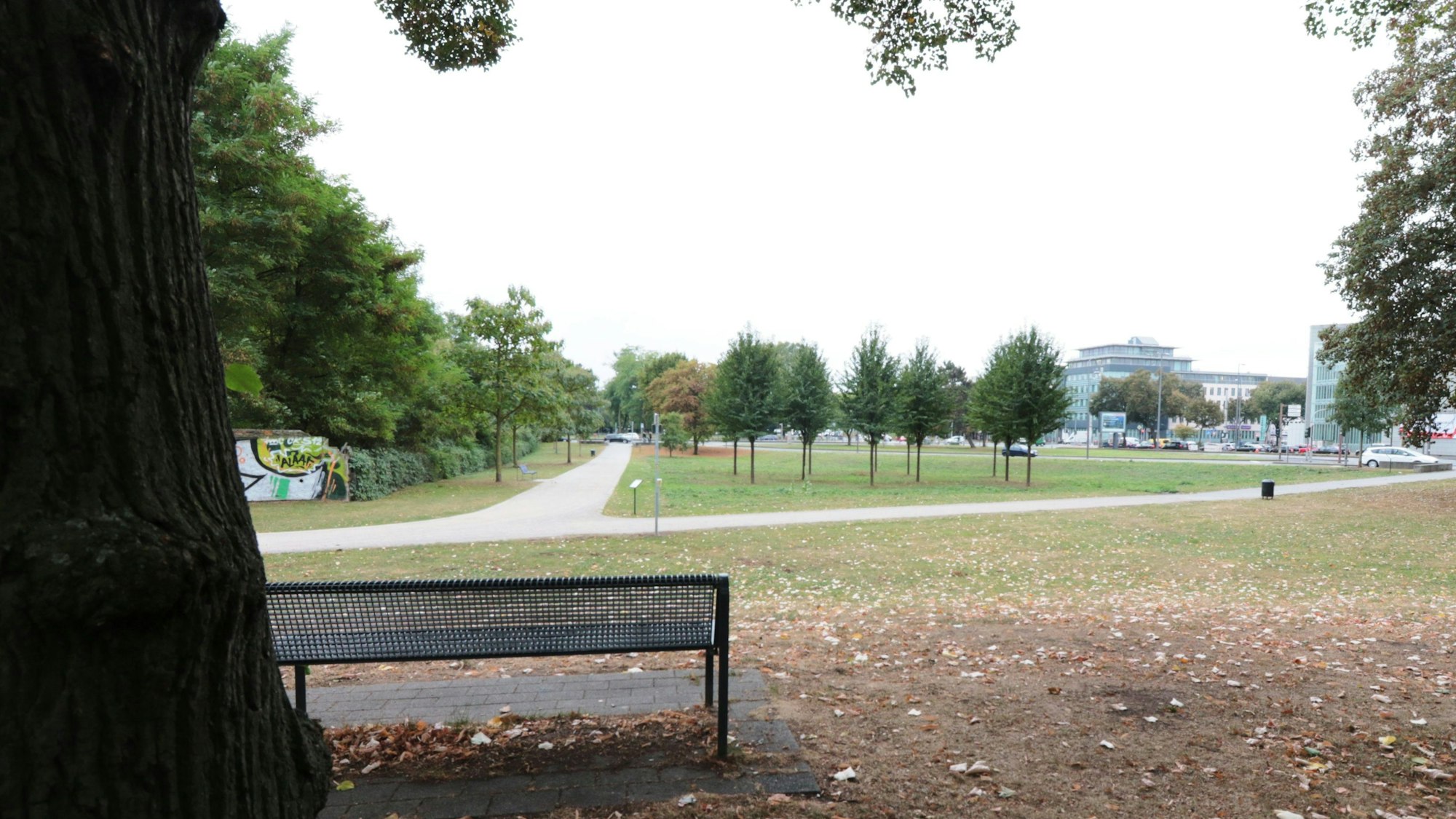 Park für Carola Williams an der Inneren Kanalstraße/Ecke Aachener Straße.
Foto: Carsten Rust