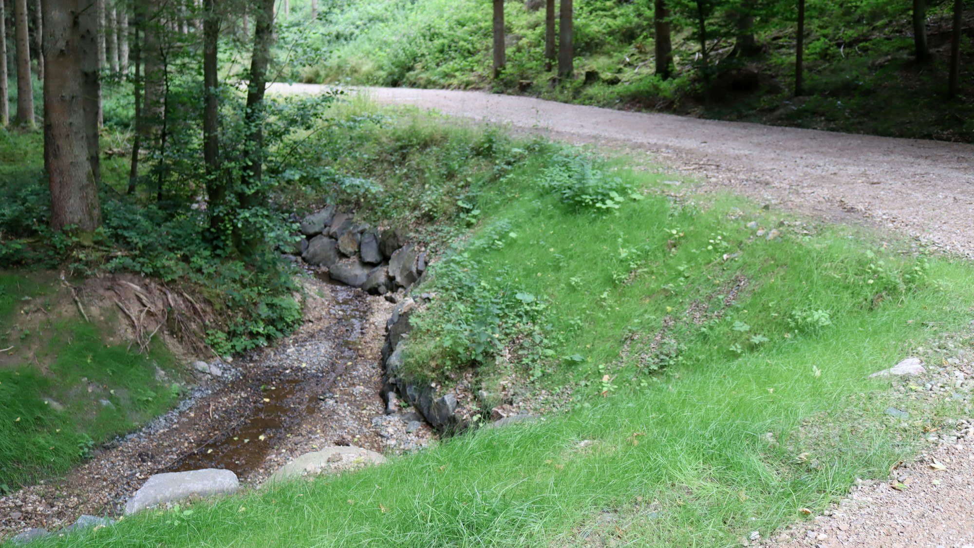 Bei diesem Wirtschaftsweg, der von der L165 in Richtung Hünkhoven/Odesheim führt, wurde auch der Hang verstärkt.