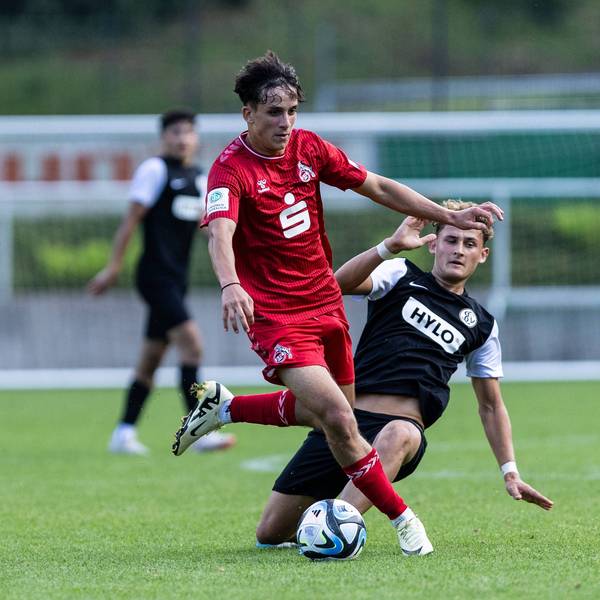 Testspiel: 1. FC Köln U19 - SV Elversberg Sportschule Hennef 10.07.2024 Jason Ponente Ramirez 1.FC Köln U19, 21 Testspiel: 1. FC Köln U19 - SV Elversberg Sportschule Hennef 10.07.2024 *** Test match 1 FC Köln U19 SV Elversberg Sportschule Hennef 10 07 2024 Jason Ponente Ramirez 1 FC Köln U19, 21 Test match 1 FC Köln U19 SV Elversberg Sportschule Hennef 10 07 2024 Copyright: xBEAUTIFULxSPORTS/Buriakovx