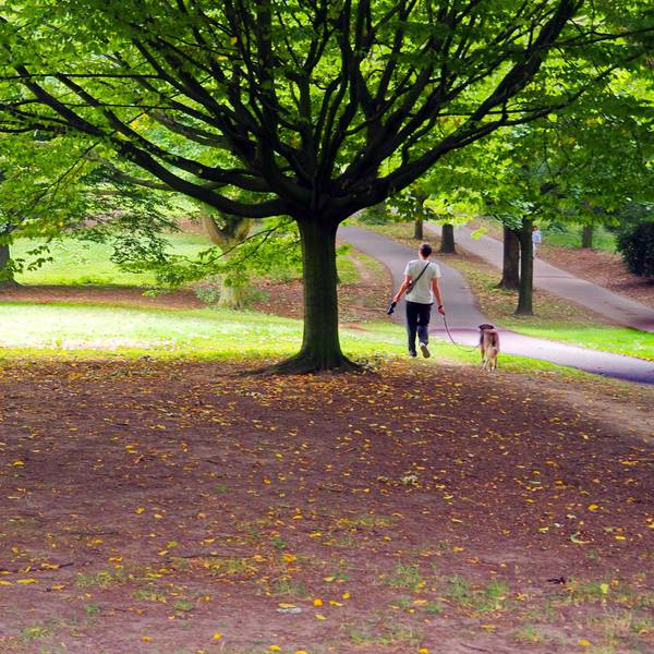 Im Vorgebirgspark in Zollstock werden in den vergangenen zwei Wochen vermehrt tote Kaninchen gefunden. Die Hundehalter sind besorgt, dass ihre Tiere sich anstecken könnten.