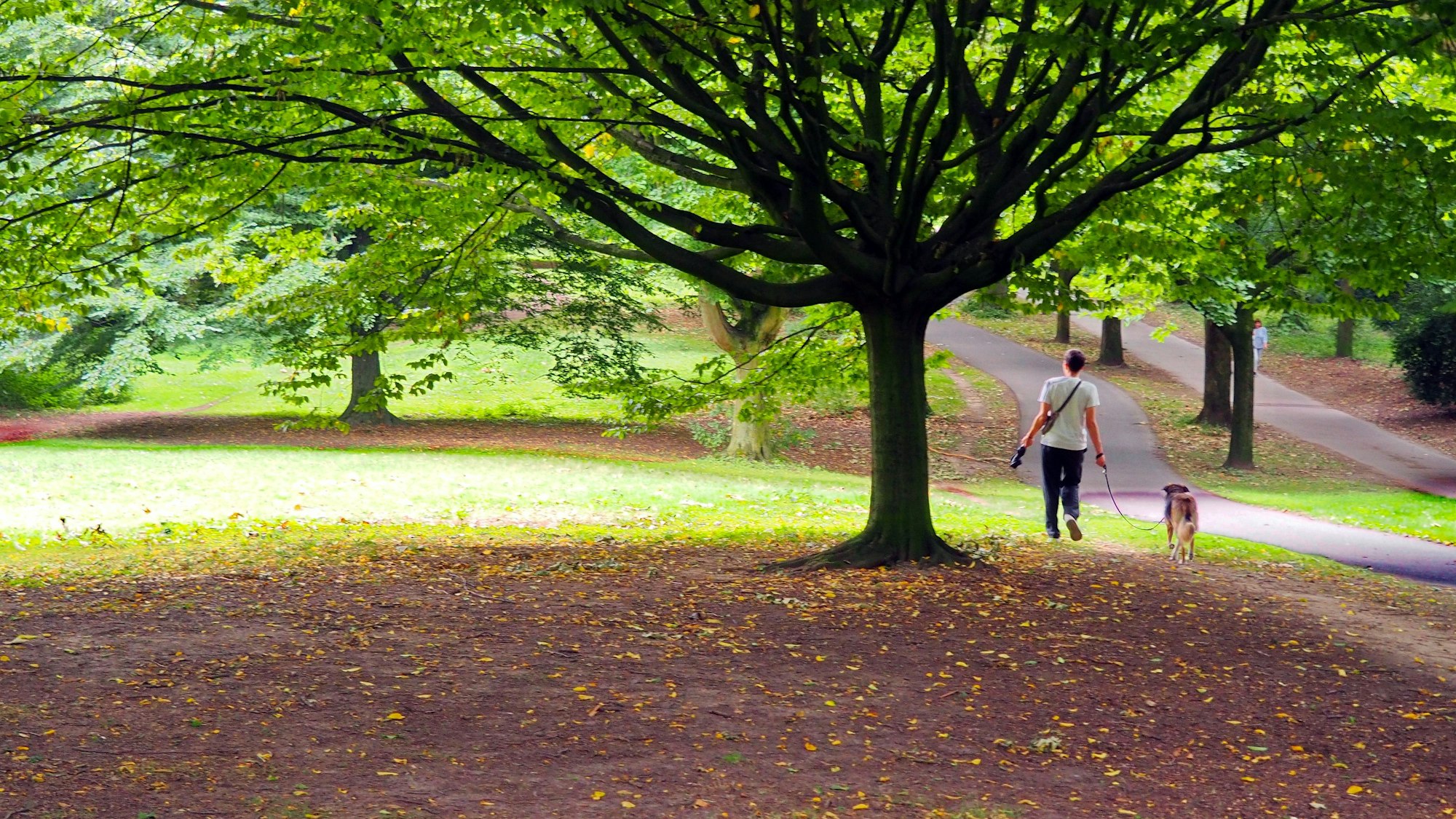 Im Vorgebirgspark in Zollstock werden in den vergangenen zwei Wochen vermehrt tote Kaninchen gefunden. Die Hundehalter sind besorgt, dass ihre Tiere sich anstecken könnten.