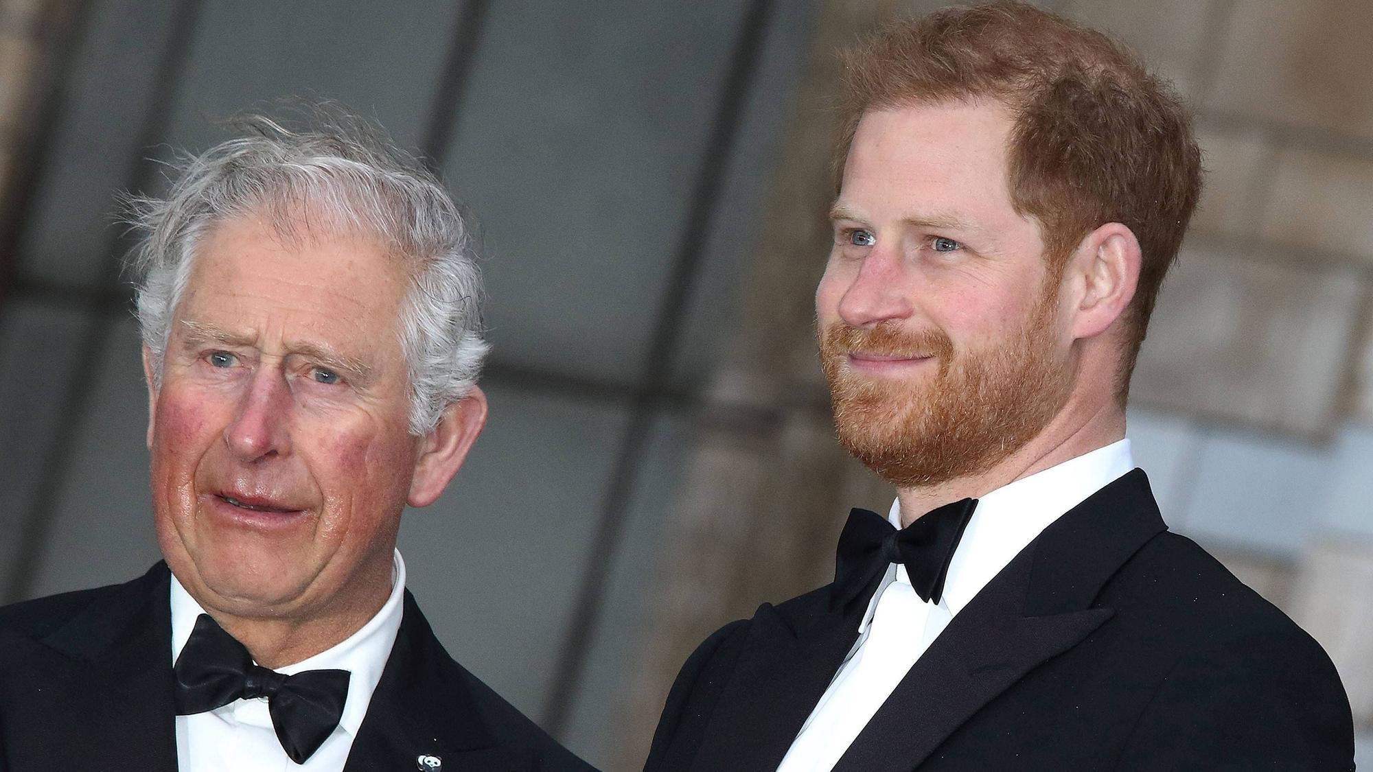 Charles und Harry stehen nebeneinander.