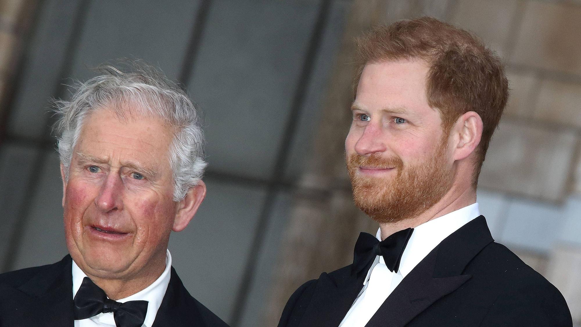 König Charles und Prinz Harry stehen nebeneinander.