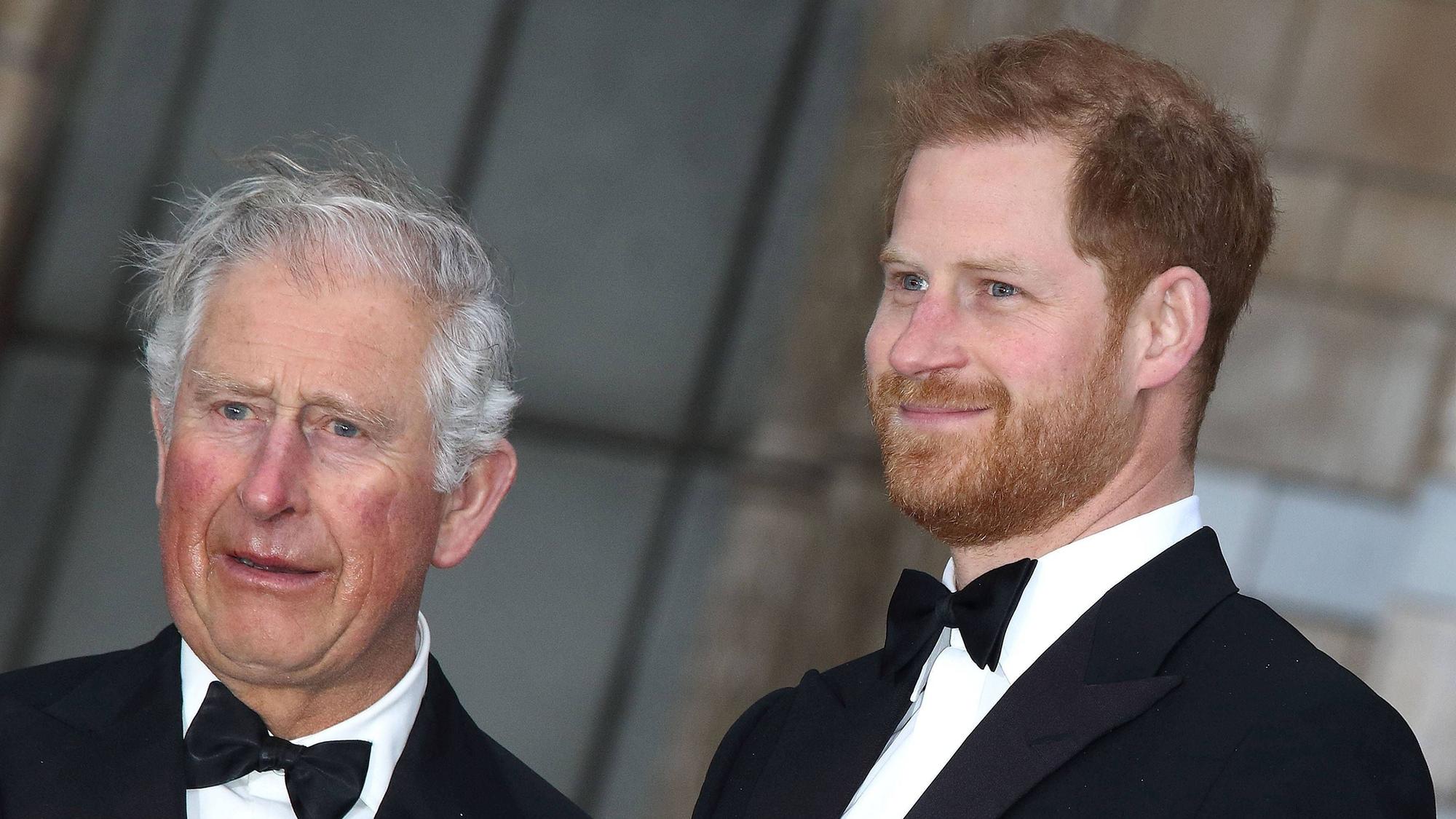 Prinz Harry und König Charles stehen nebeneinander.