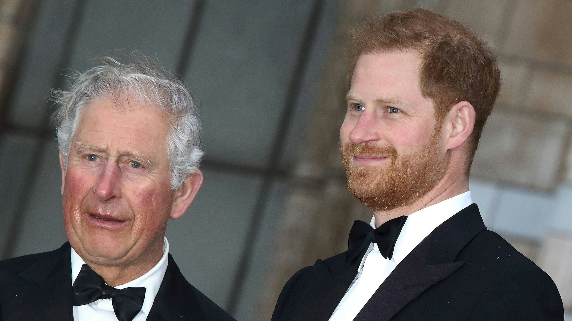 König Charles und Prinz Harry bei einem Termin im Jahr 2019.