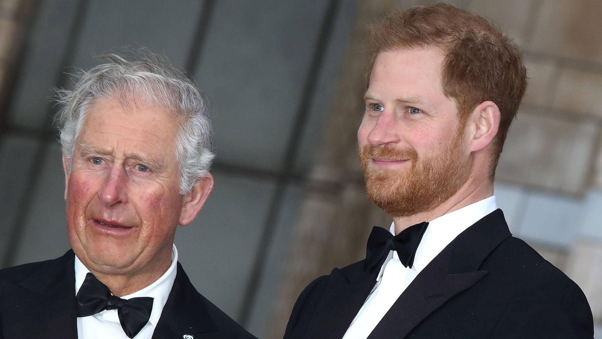 König Charles und Prinz Harry bei einem Termin im Jahr 2019.