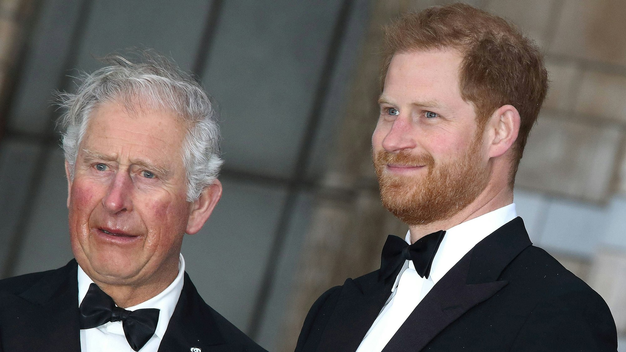 König Charles und Prinz Harry bei einem Termin im Jahr 2019.