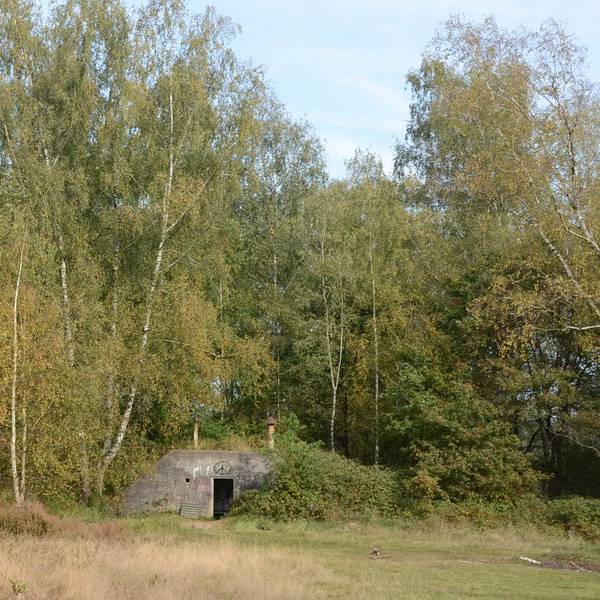 Die Wahner Heide bleibt geschützte Kulturlandschaft. Der BUND sieht dennoch einen Rückschritt.