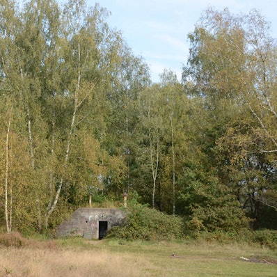Die Wahner Heide bleibt geschützte Kulturlandschaft. Der BUND sieht dennoch einen Rückschritt.