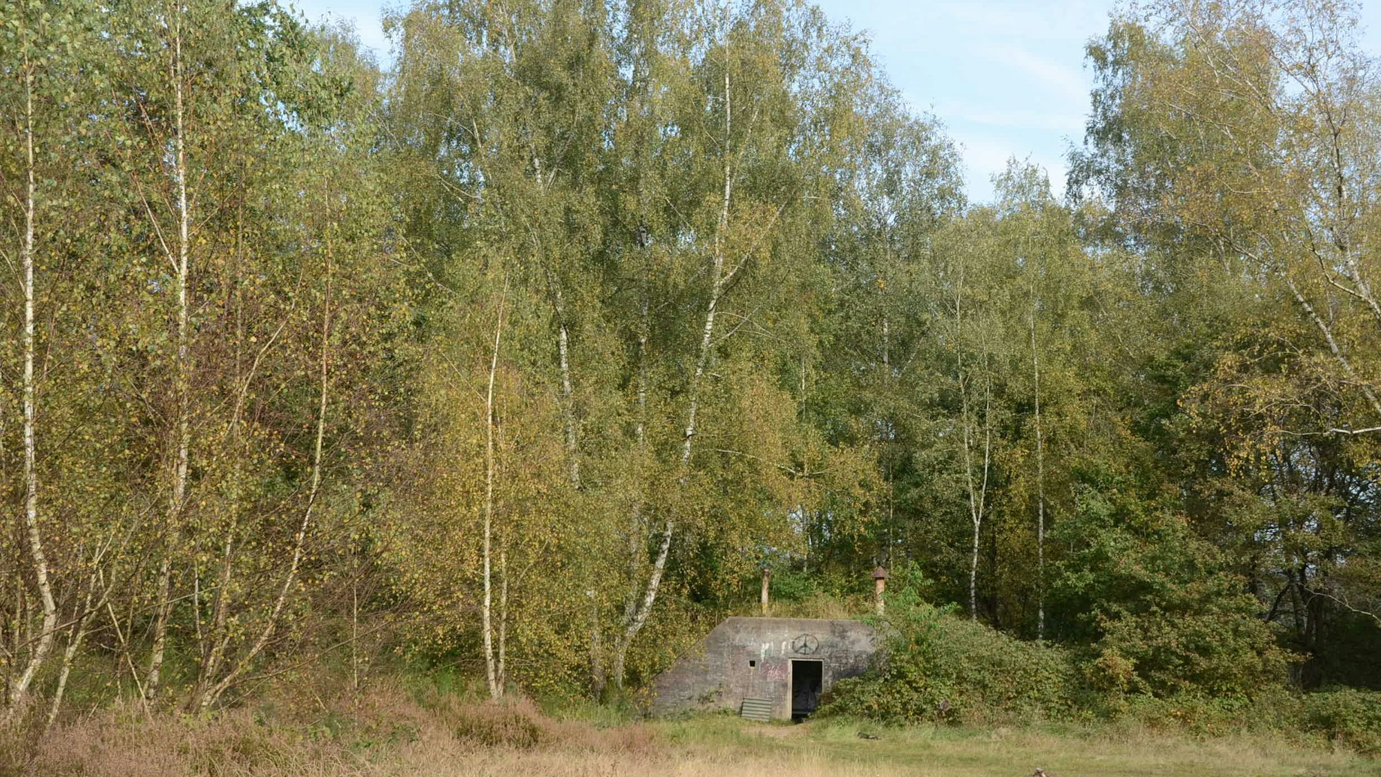 Die Wahner Heide bleibt geschützte Kulturlandschaft. Der BUND sieht dennoch einen Rückschritt.