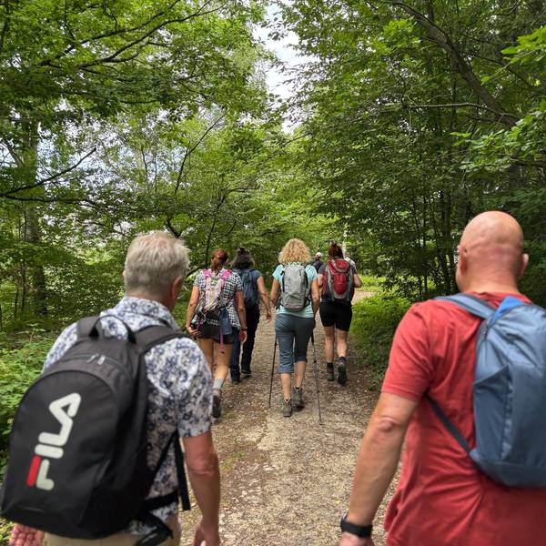 Eine Gruppe Menschen, von hinten fotografiert, geht durch den Wald.