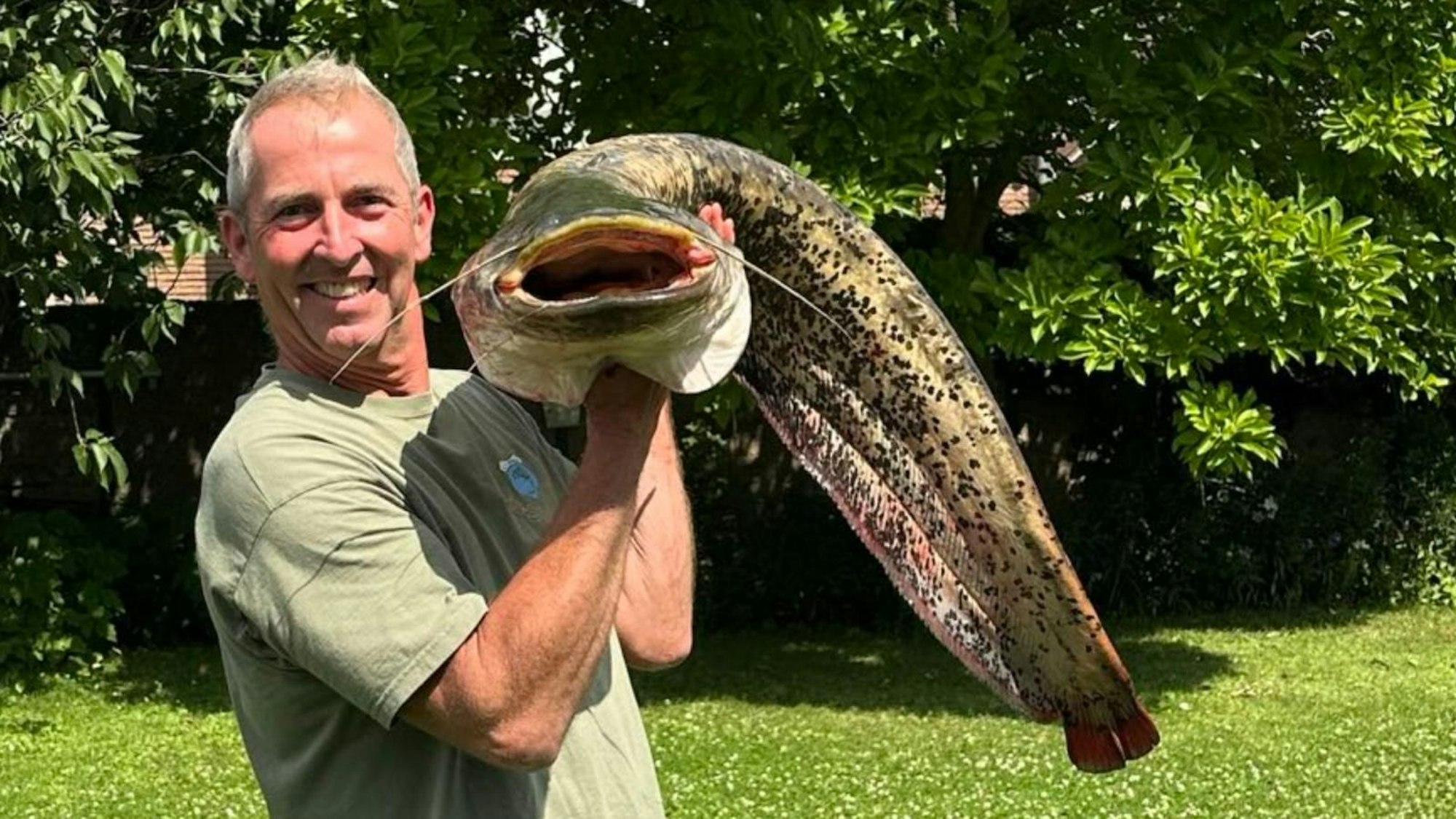 Auf dem Bild ist ein Mann mit einem großen Wels zu sehen, den er geangelt hat.