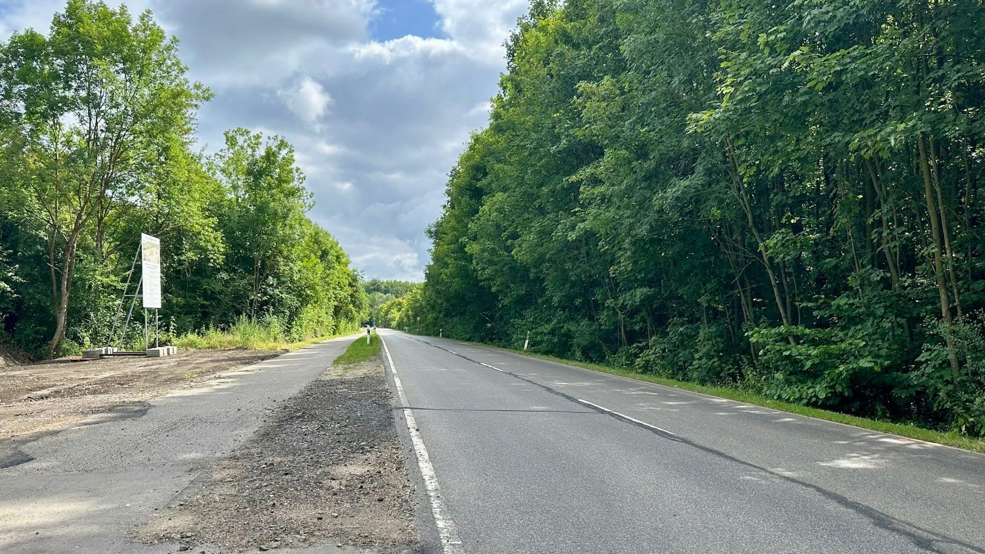 Zu sehen ist eine zweispurige Straße mit Radweg.