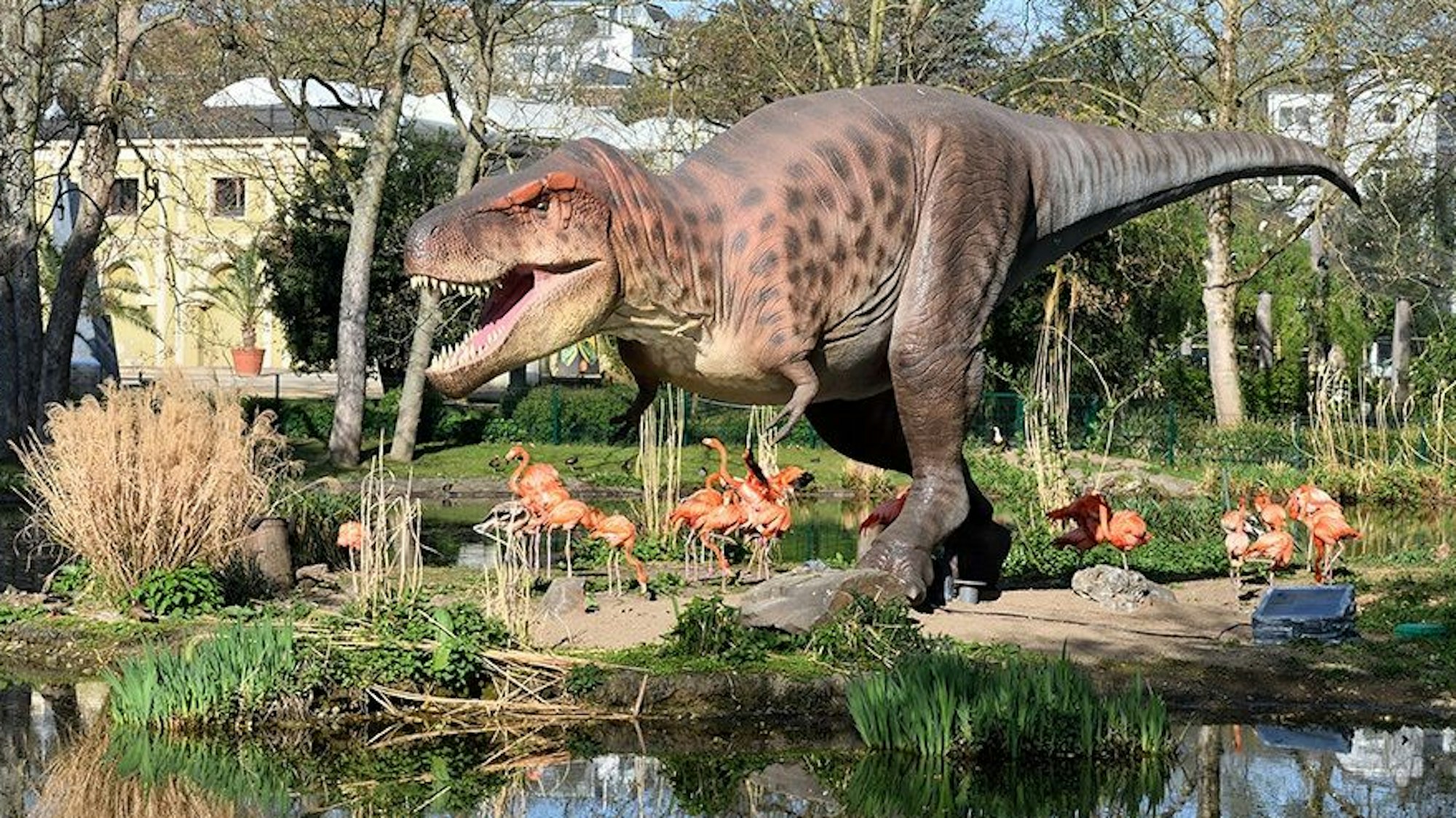 Dinoworld im Kölner Zoo