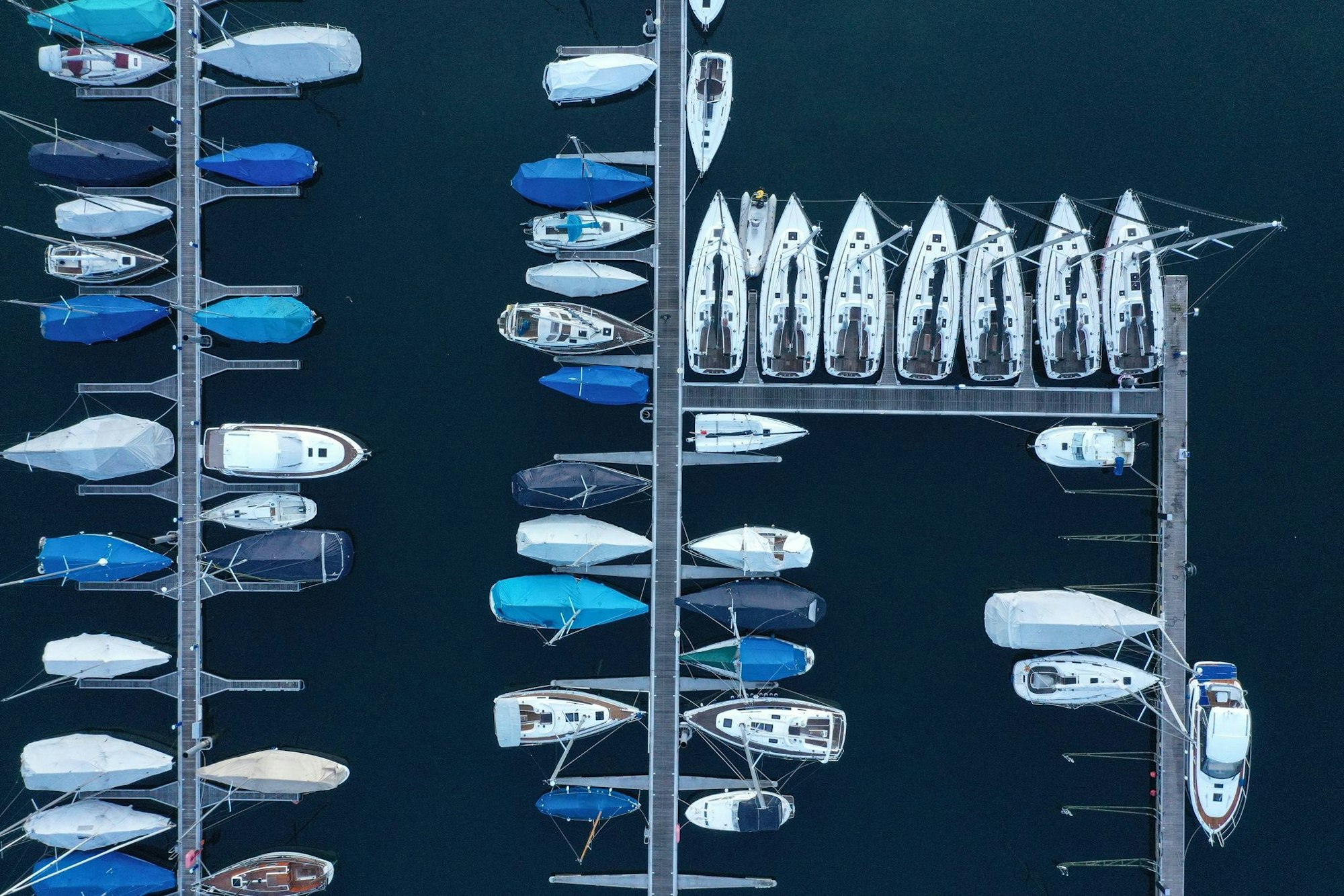 Die Forschenden empfehlen strengere Regeln für Schifffahrt und Bootstourismus.