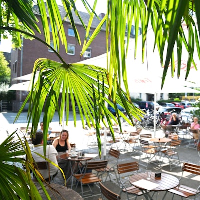 Durch Palmenblätter sieht man auf einen Platz mit Tischen, Stühlen und Sonnenschirmen.