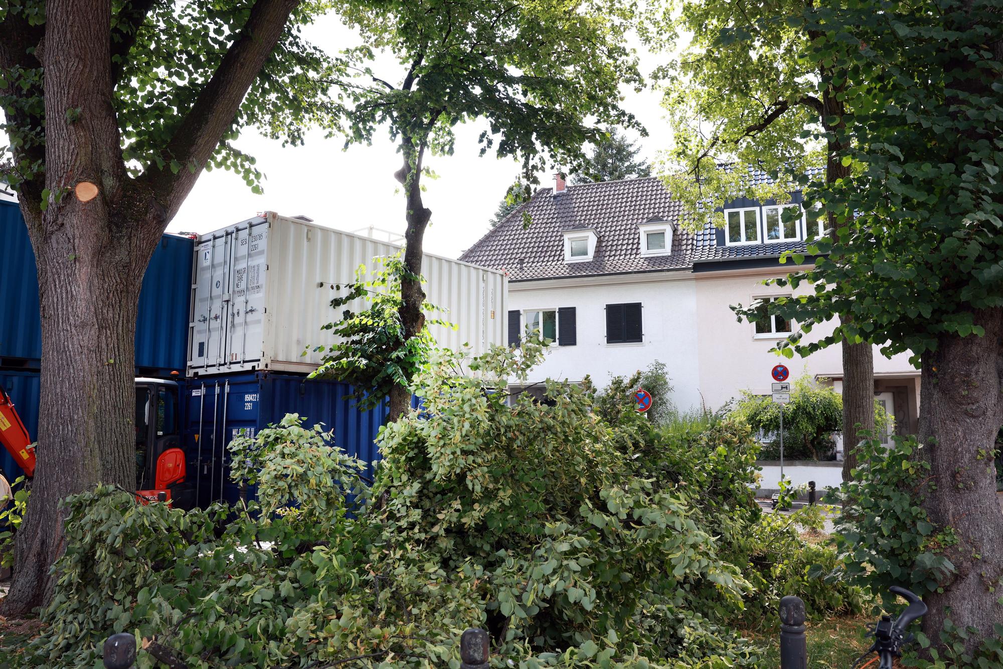 Container stehen an Bäumen.