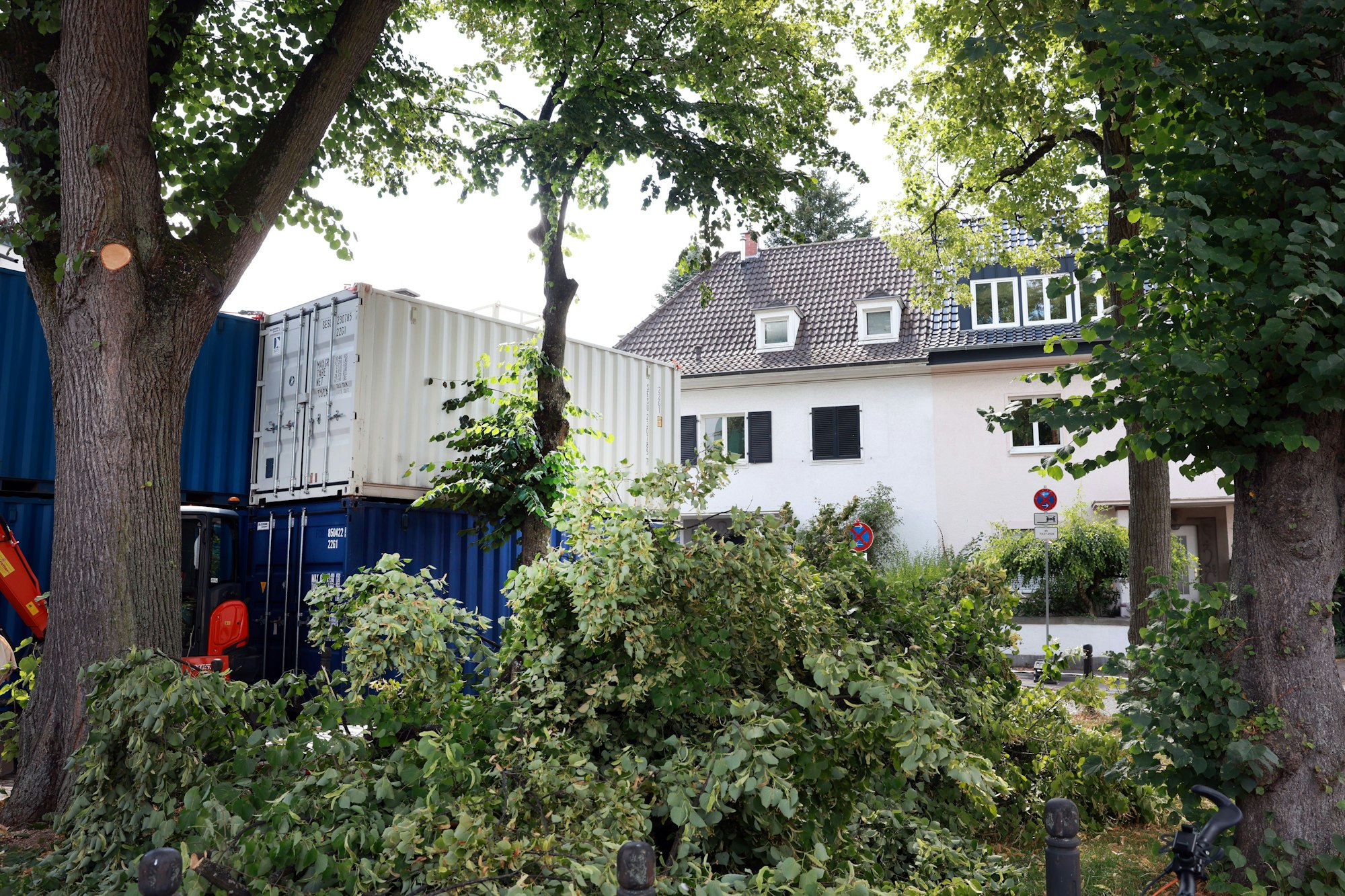 Container stehen an Bäumen.