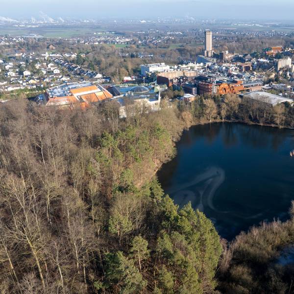 Das Gelände rund um den Ententeich neben dem Phantasialand ist derzeit noch ein Naturschutzgebiet. Das Phantasialand möchte eine Fläche neben dem Parkgelände bebauen.