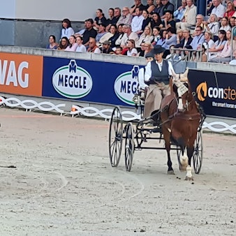 Dorit Santama fährt eine Kutsche, die ihr Pferd Winsor zieht.