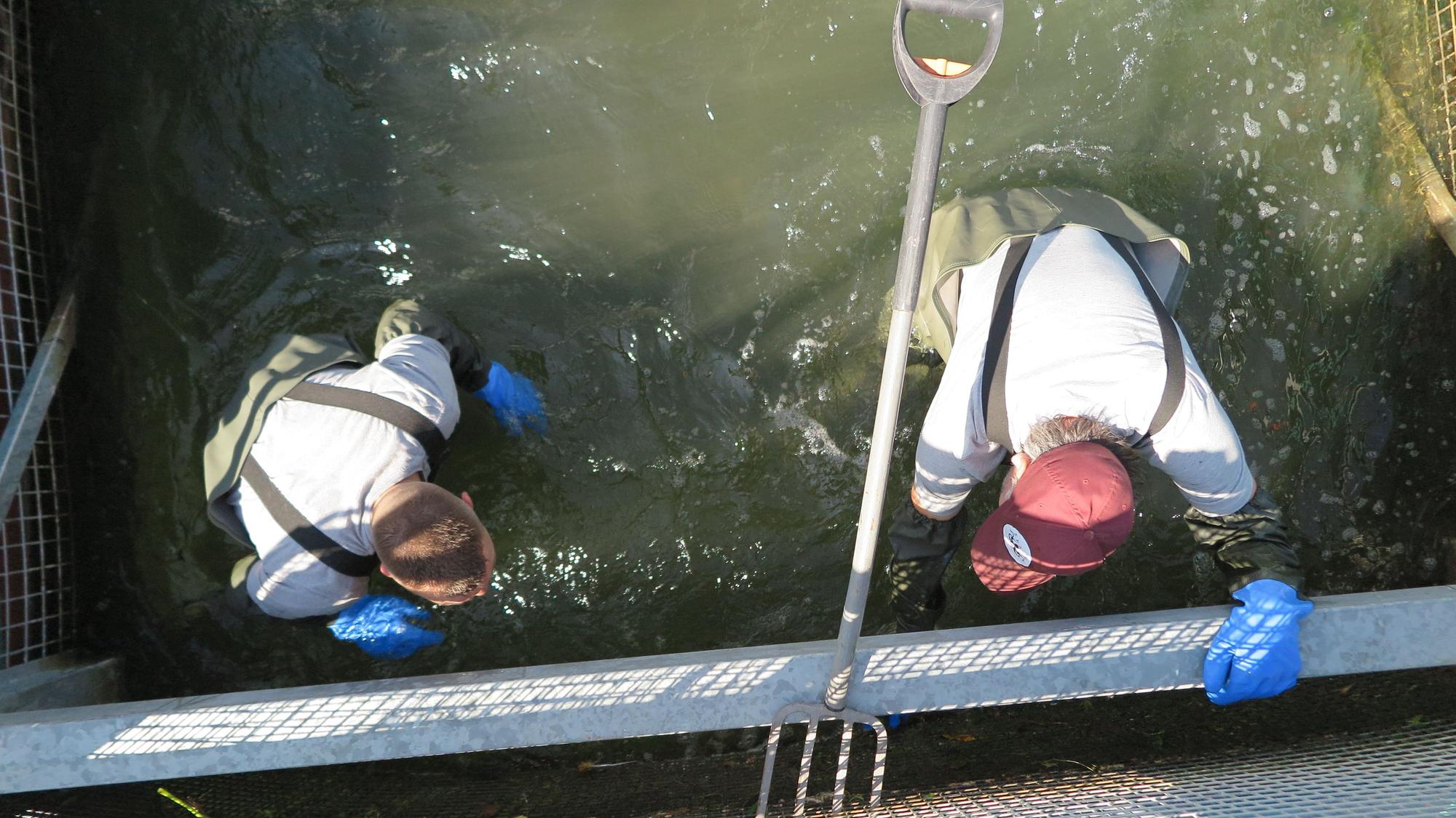 Das Bild zeigt Kai Hirsch und Christian Stock bei der Reinigung der Müllfalle.