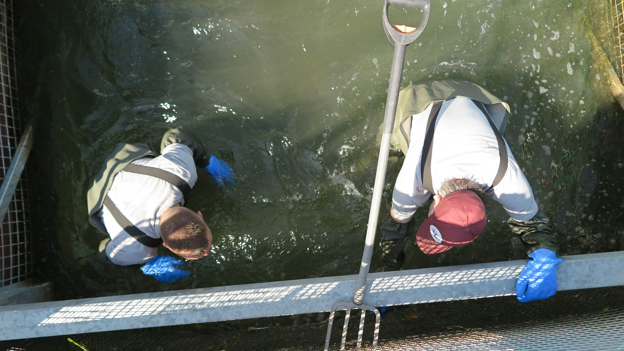 Das Bild zeigt Kai Hirsch und Christian Stock bei der Reinigung der Müllfalle.