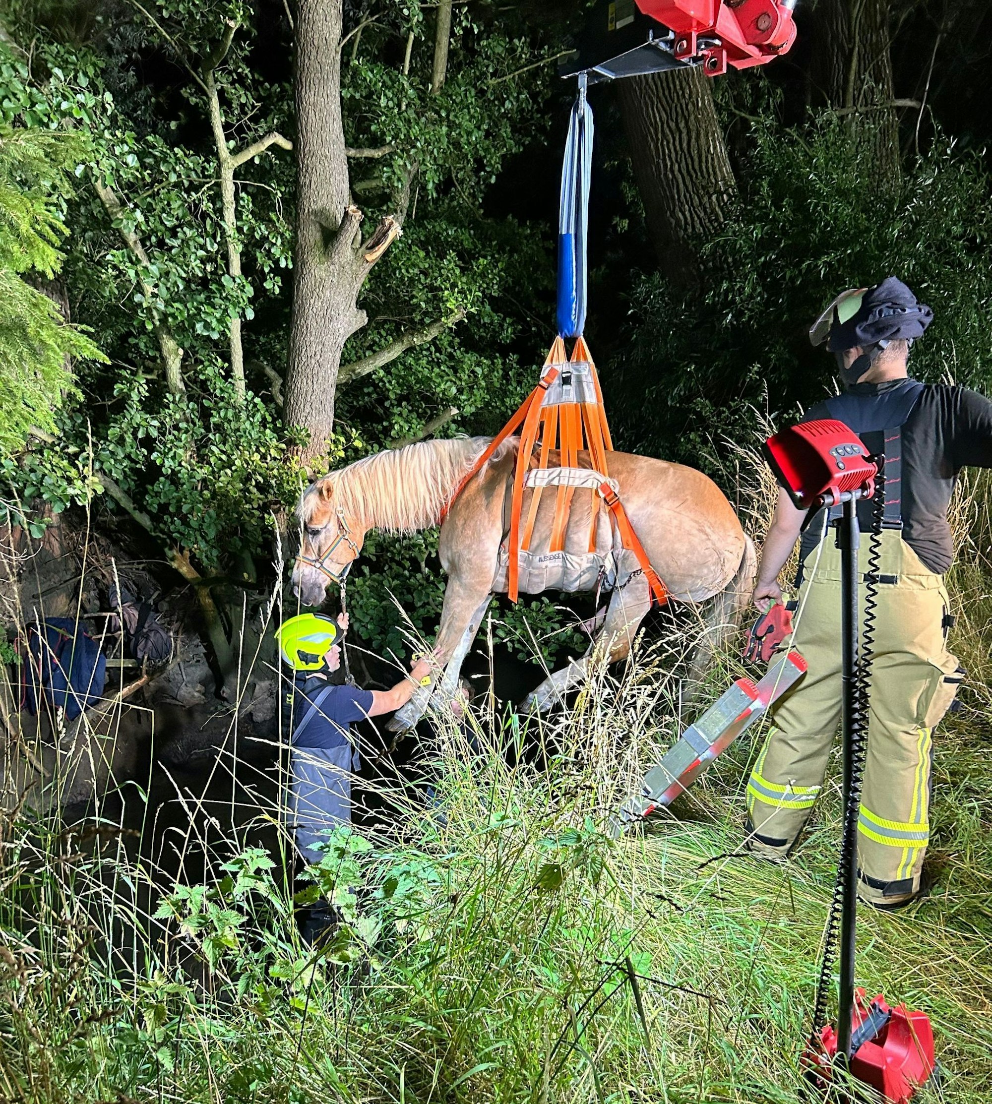 Die Rettungsaktion war aufwendig (Handout)