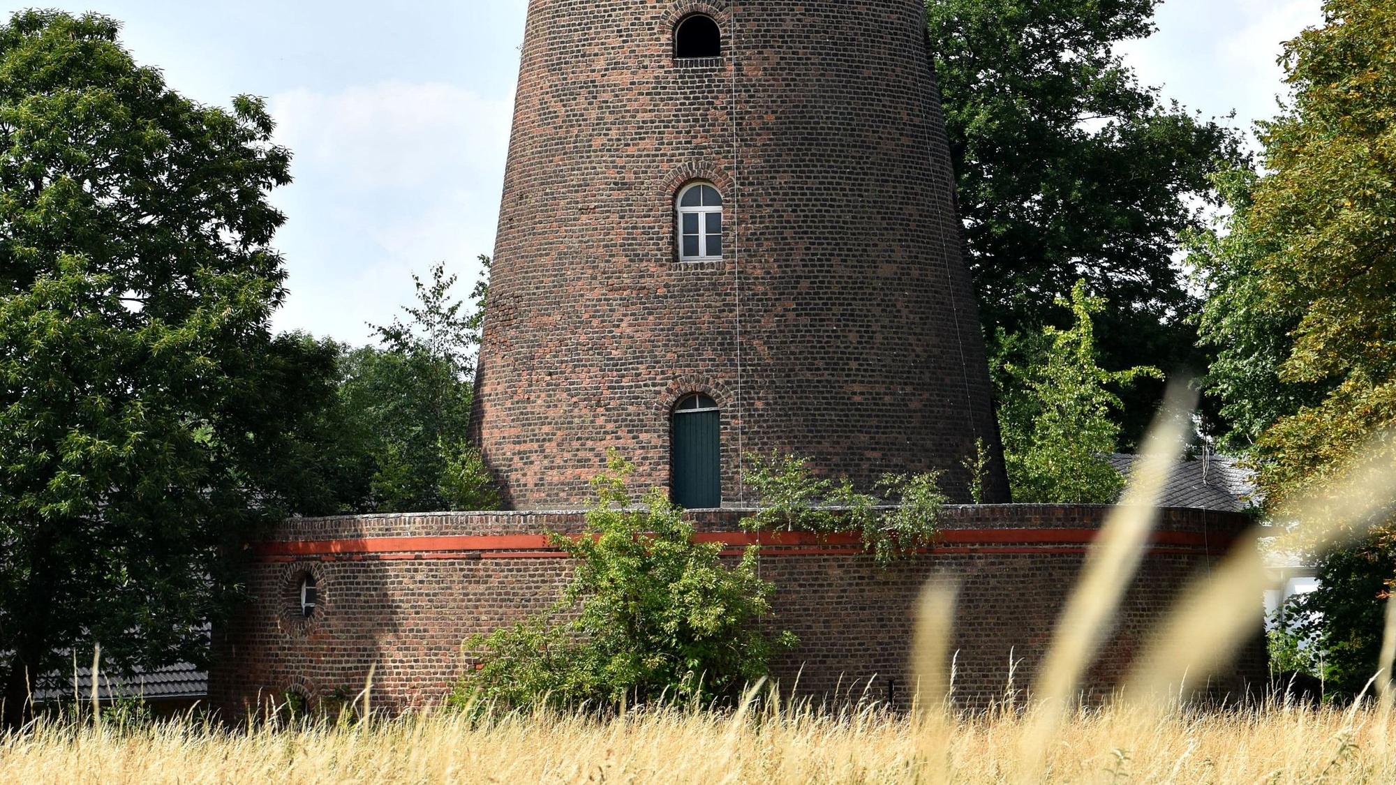 Eine Mühle steht hinter einem Getreidefeld.