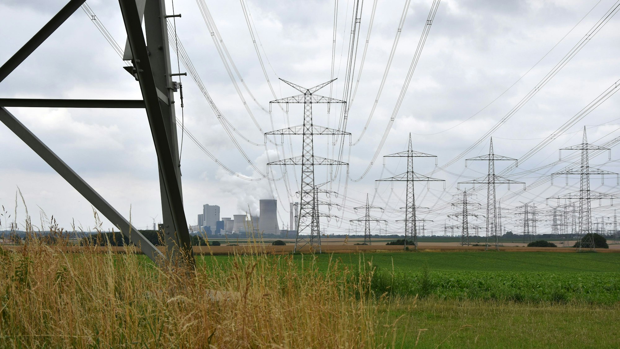 Zu sehen eine Freileitung auf einem Feld.