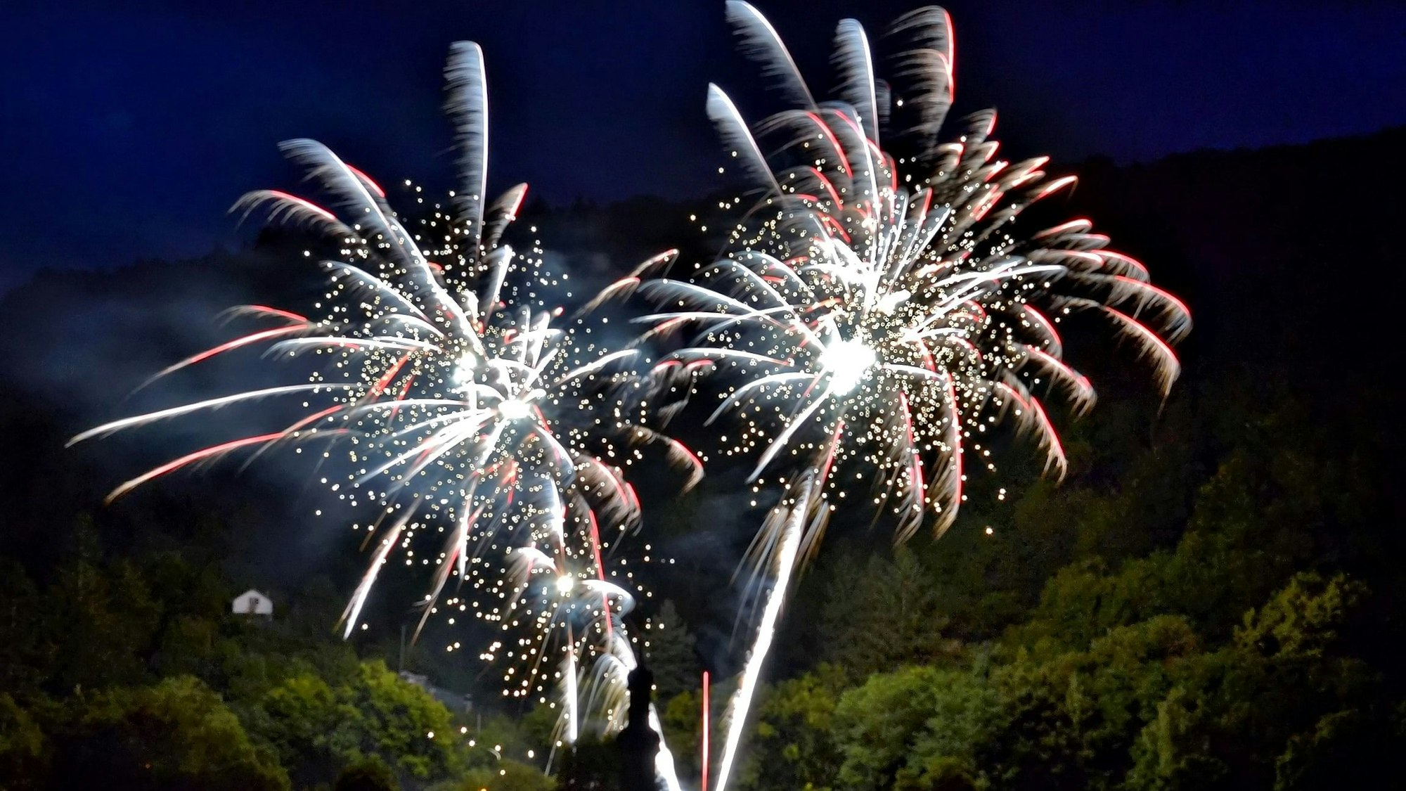 Vor einem dunklen Himmel explodieren Feuerwerkskörper.