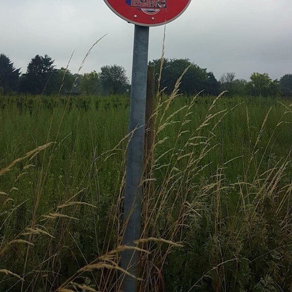 Ein mit Aufklebern zugeklebtes Halteverbotsschild in Leichlingen