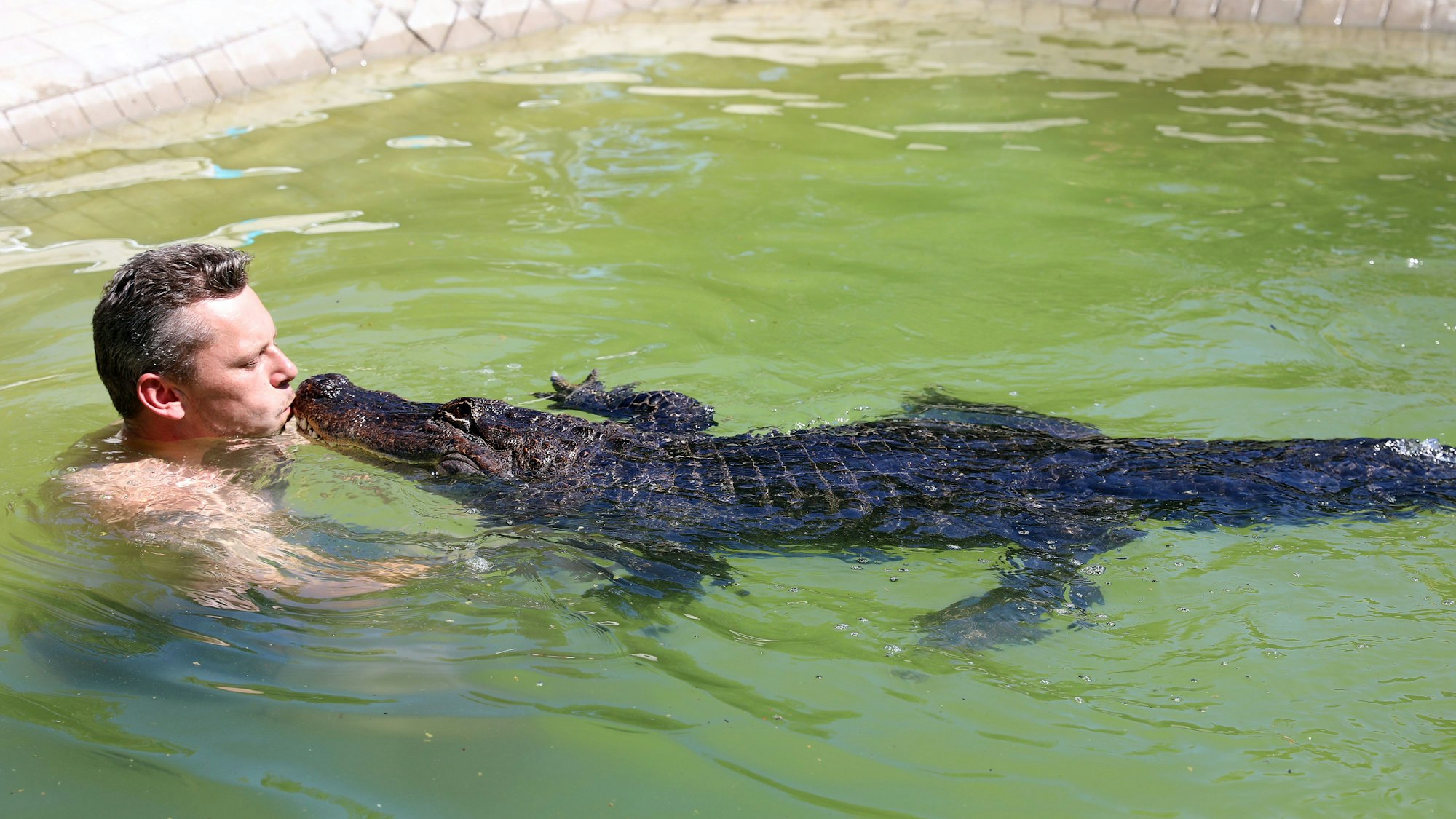 Das 45 Jahre alte Reptil genießt seinen Ruhestand nach Jahren im Zirkus mit eigenem Pool im Garten von Familie Kaulis.