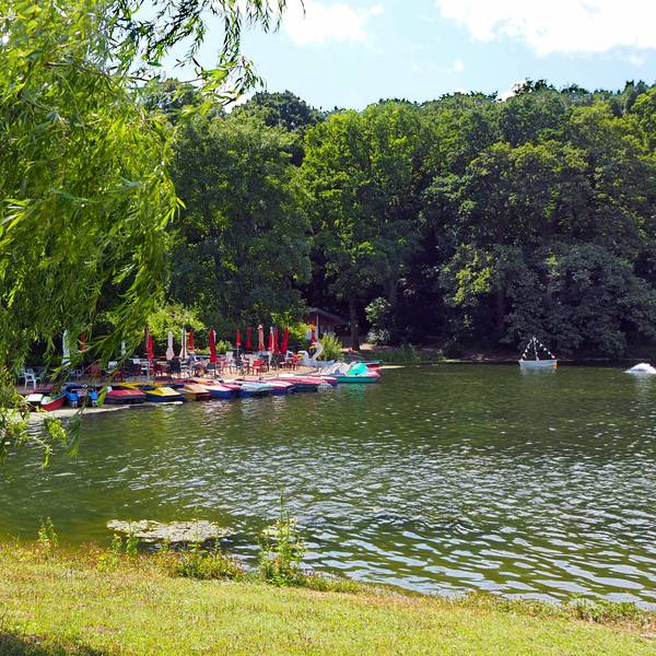 Ein grünes Naturidyll im Kölner Süden – der Kalscheurer Weiher