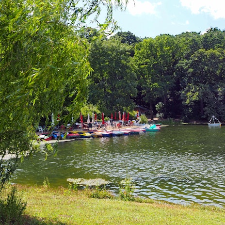 Ein grünes Naturidyll im Kölner Süden – der Kalscheurer Weiher