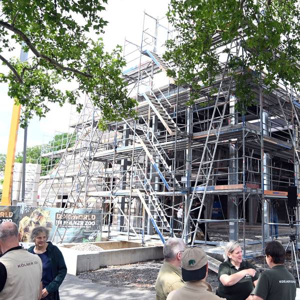 22.07.2025 Köln. Ministerpräsident Hendrik Wüst besucht die 165-Jahr-Feier des KölnerZoo und begleitet das Richtfest der neuen Giraffenanlage (11:15 Uhr). Im Anschluss trifft er Ehrenpatenkinder und ihre Familien im Kölner Zoo (12:30 Uhr). Wüst übernimmt als Ministerpräsident die Ehrenpatenschaft für die Drillinge, Vierlinge und Mehrlinge, die in Nordrhein-Westfalen geboren wurden. Foto: Alexander Schwaiger