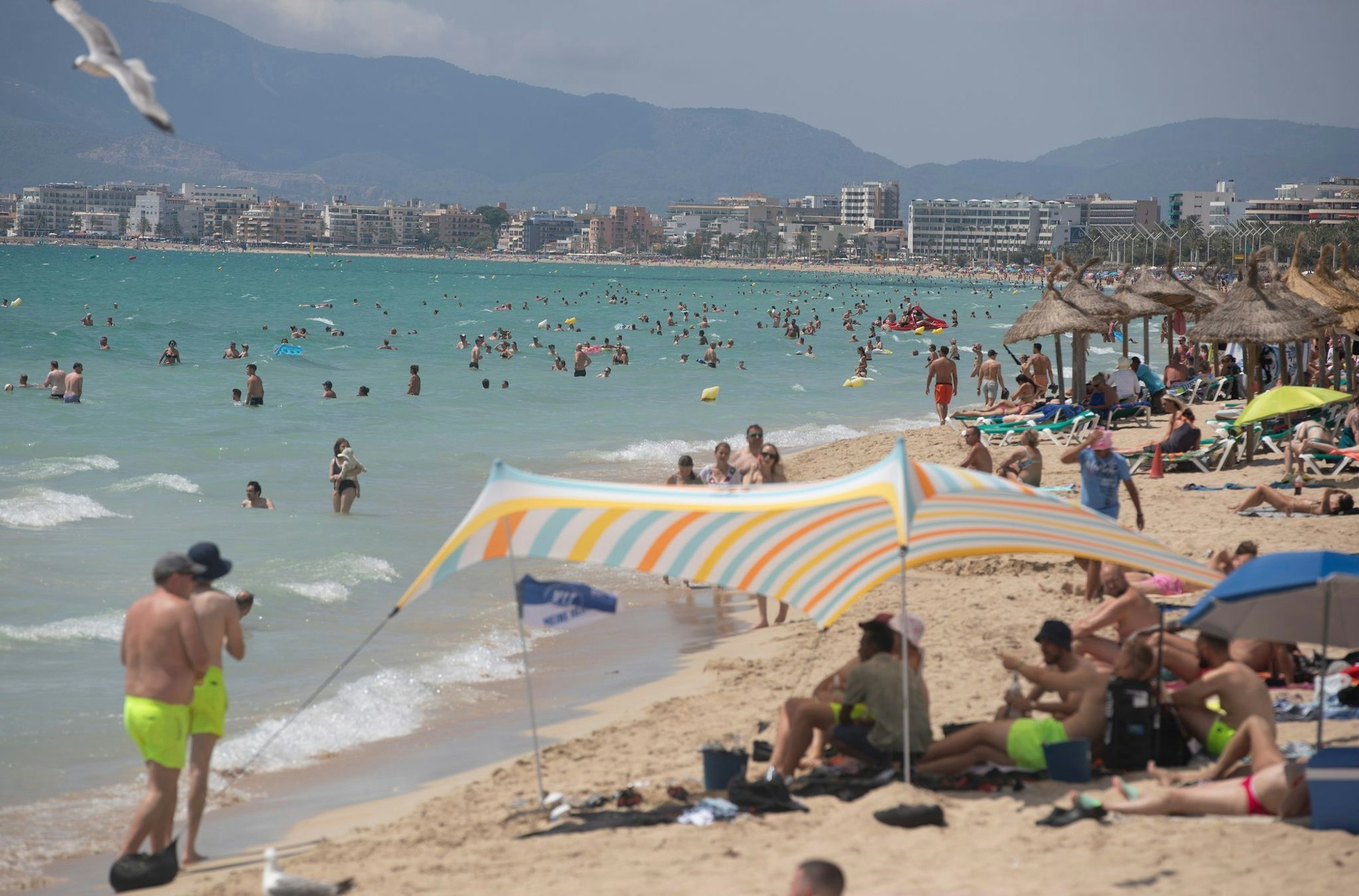 Fischattacken stören die Idylle an der spanischen Mittelmeerküste fast nie. (Archivfoto)
