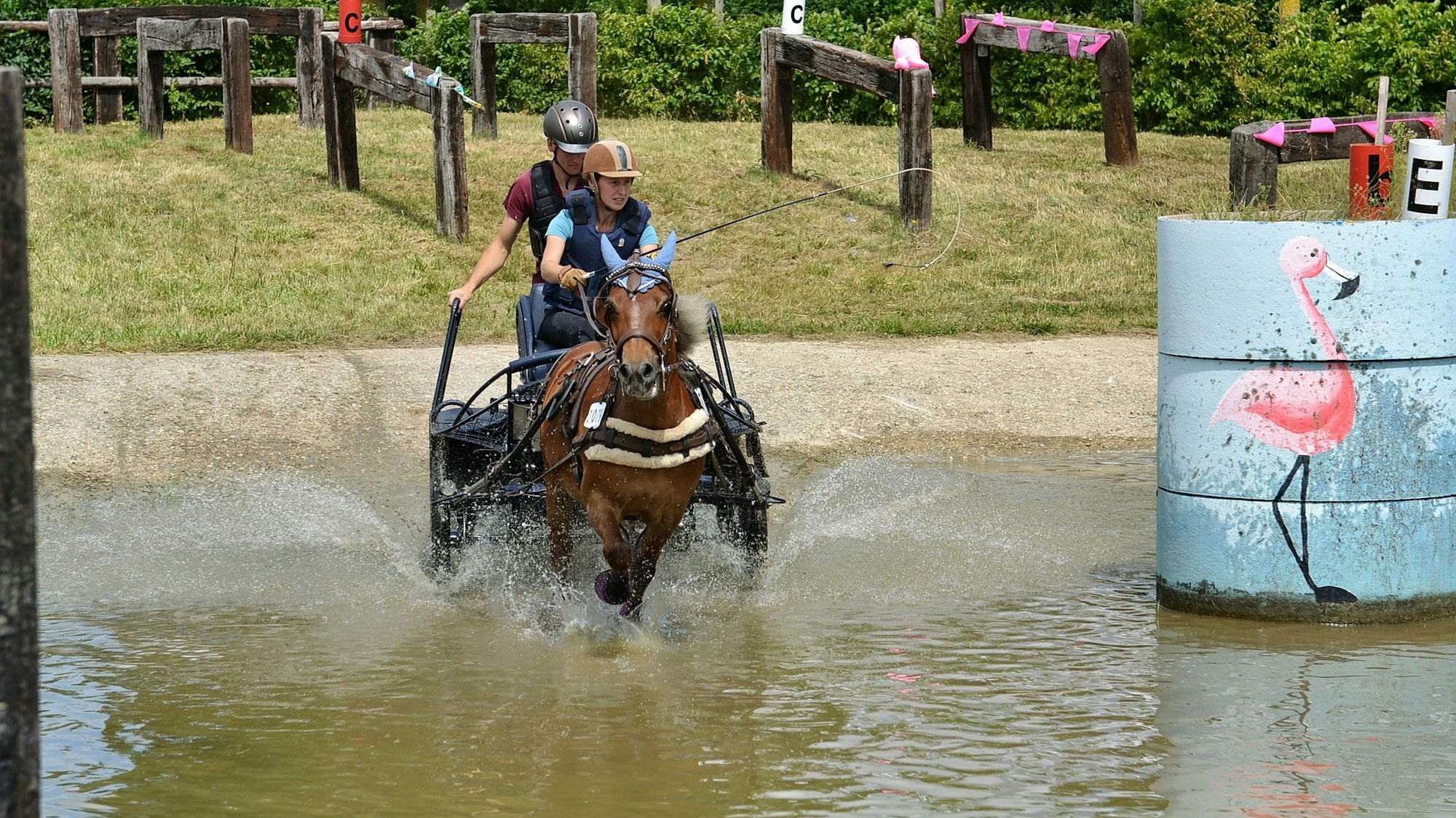 Ein Gespann fährt durch das Wasser.