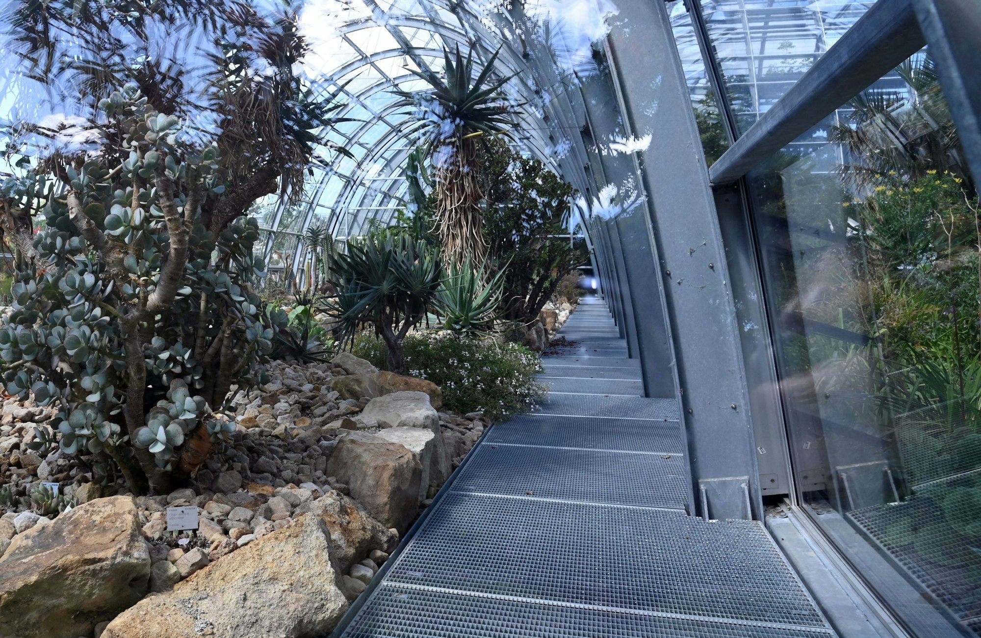 23.07.2025 Köln. Die neuen Schaugewächshäuser im Botanischen Garten sind erstmals ohne Bauzäune zu sehen. Foto: Alexander Schwaiger