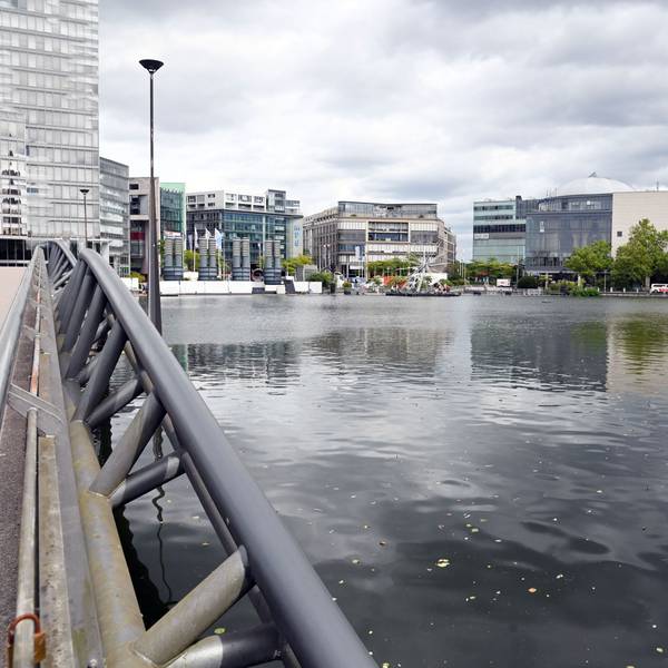 Der Weiher am MediaPark. Immer wieder gibt es hier Problem mit Wildfütterern.