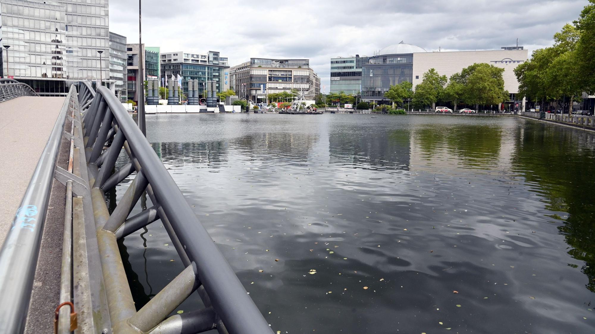 Der Weiher am MediaPark. Immer wieder gibt es hier Problem mit Wildfütterern.