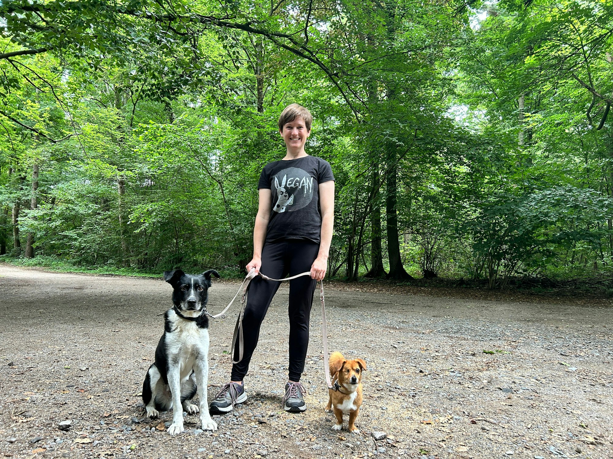 Die Idee zu dem Projekt kam Flüchter – natürlich – beim Gassigehen mit Mischling Raya und Border-Collie-Mix Gromit im Reuschenberger Wald.