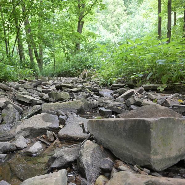 Das Flussbett eines ausgetrockneten Gewässers besteht hauptsächlich aus Steinen.