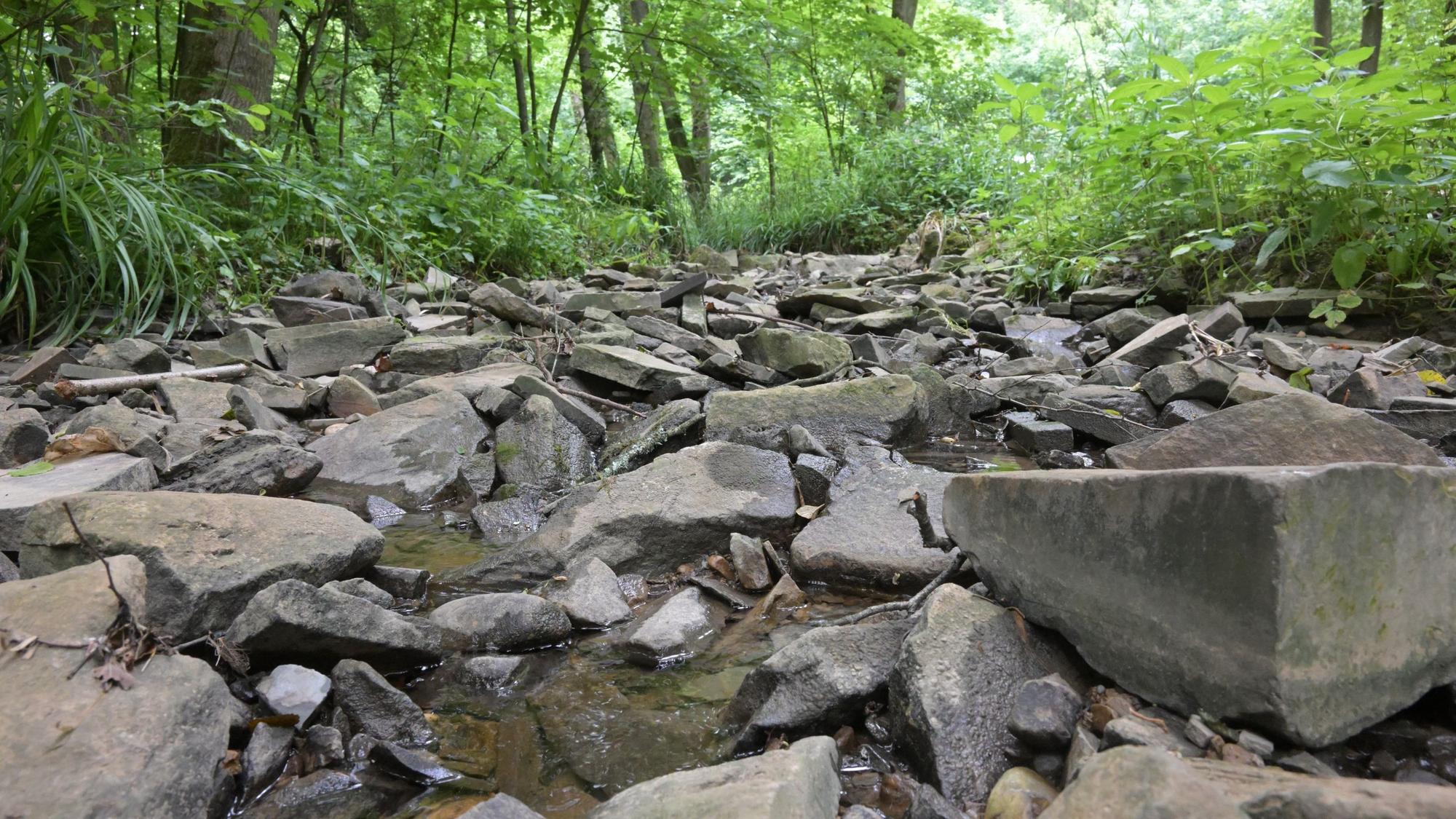 Das Flussbett eines ausgetrockneten Gewässers besteht hauptsächlich aus Steinen.