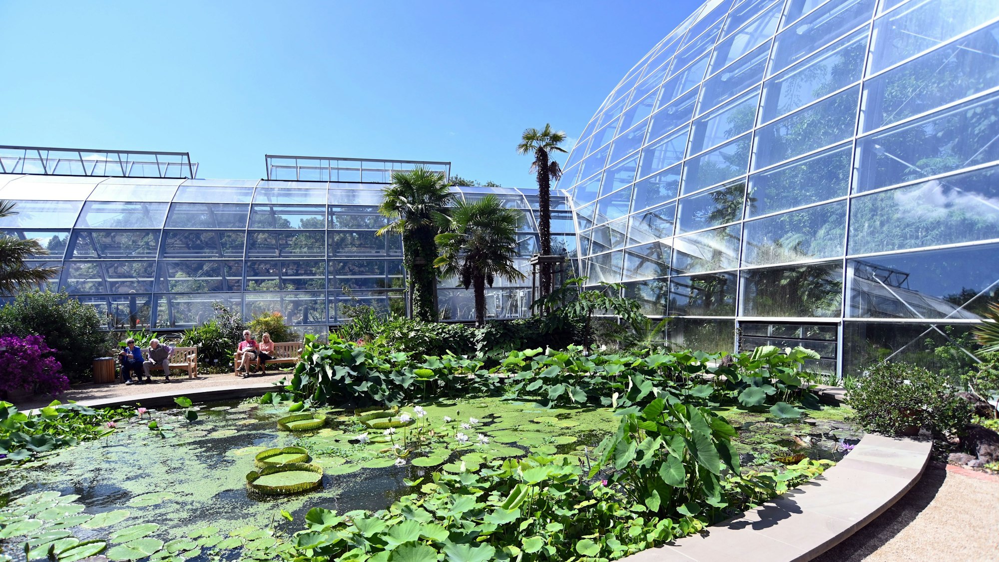 Schon 2023 zogen die Pflanzen in die Häuser ein, doch Besucher mussten bis jetzt draußen bleiben.