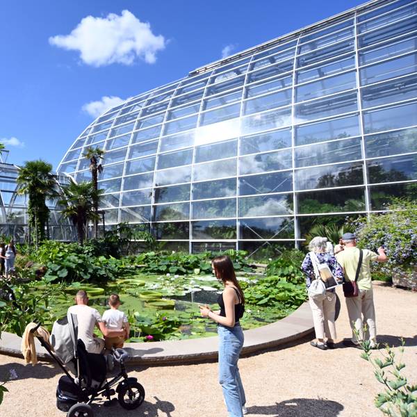 23.07.2025 Köln. Die neuen Schaugewächshäuser im Botanischen Garten sind erstmals ohne Bauzäune zu sehen. Foto: Alexander Schwaiger